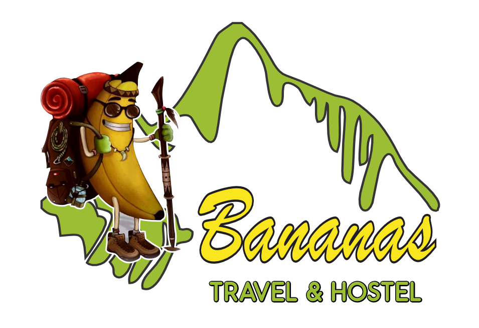 Logo Bananas Travel