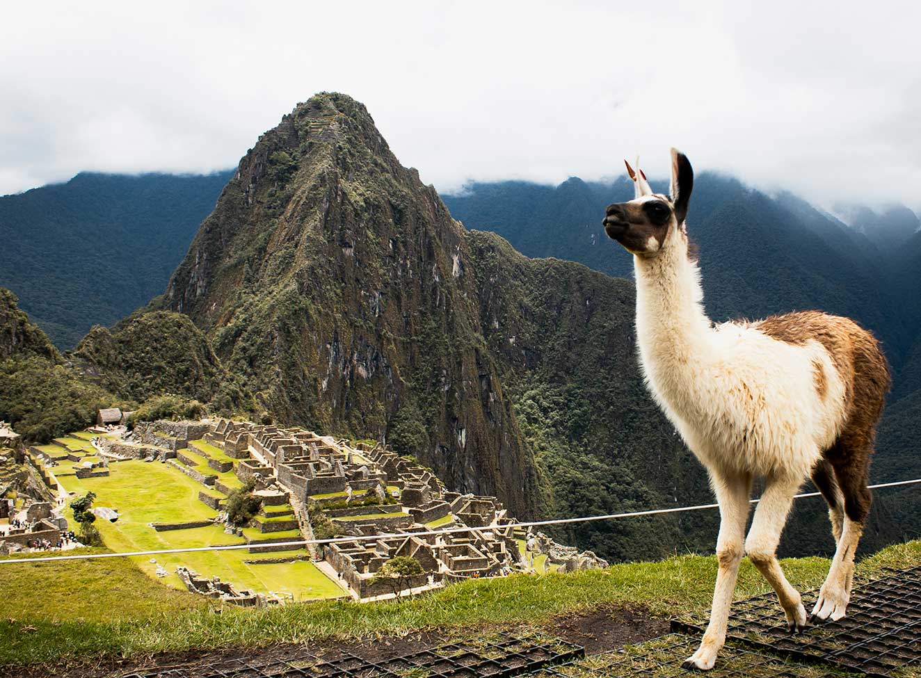 Valle Sagrado y Machu Picchu